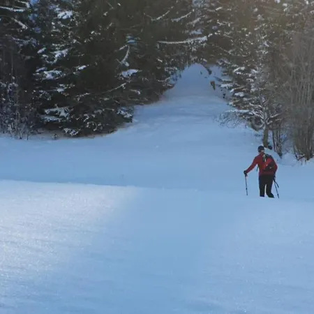 Gschwendtalm Tirol - Luxus-apartment Fuer Ihre Auszeit