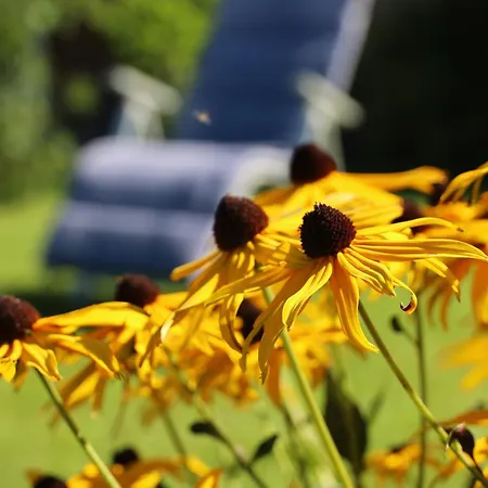 Gschwendtalm Tirol - Luxus-apartment Fuer Ihre Auszeit Apartmán *